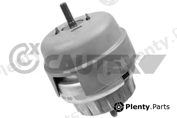 Cautex 756271 — Mounting, engine