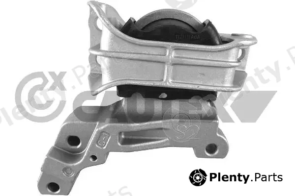 Cautex 769314 — Mounting, engine