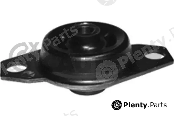 Cautex 755946 — Mounting, engine