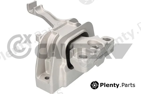Cautex 776565 — Mounting, engine