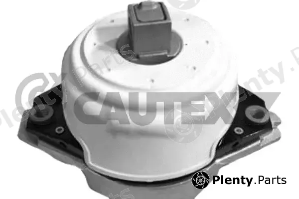 Cautex 771553 — Mounting, engine