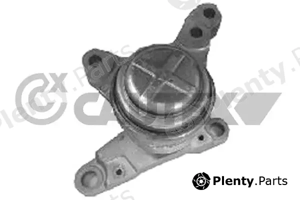 Cautex 767296 — Mounting, engine
