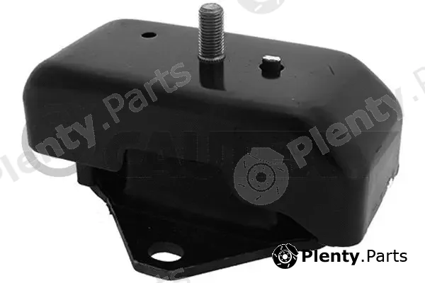 Cautex 756418 — Mounting, engine