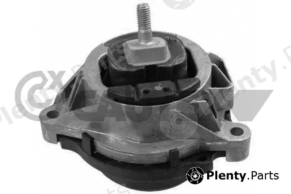 Cautex 756504 — Mounting, engine