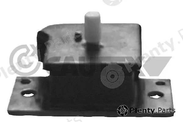 Cautex 060660 — Mounting, engine