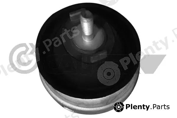 Cautex 756349 — Mounting, engine