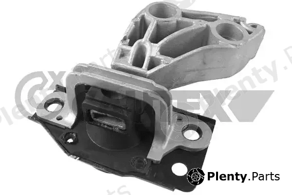 Cautex 021503 — Mounting, engine