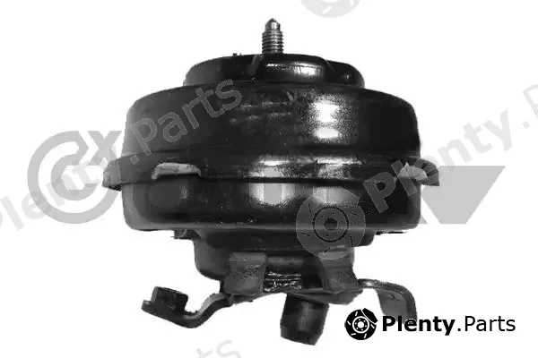 Cautex 460098 — Mounting, engine