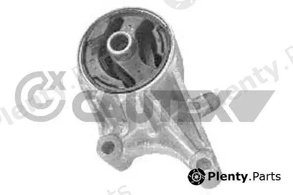 Cautex 769971 — Mounting, engine