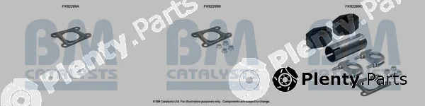 Bm Catalysts FK92289 — Mounting Kit, catalytic converter
