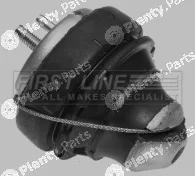 First Line FEM3454 — Mounting, engine
