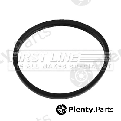 First Line TG048 — Thermostat, coolant