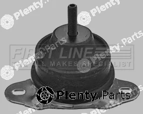 First Line FEM3911 — Mounting, engine