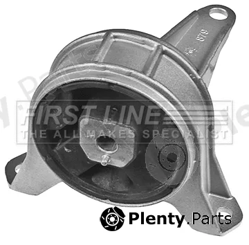 First Line FEM4131 — Mounting, engine