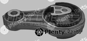 First Line FEM3894 — Mounting, engine