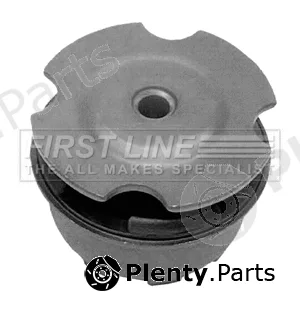 First Line FEM3094 — Mounting, engine