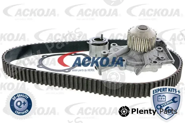 Ackojap A51-0202W — Water Pump & Timing Belt Kit EXPERT KITS +