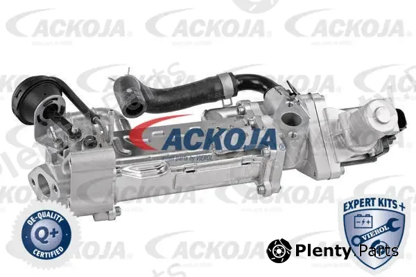 Ackojap A52-63-0019 — Cooler, exhaust gas recirculation EXPERT KITS +