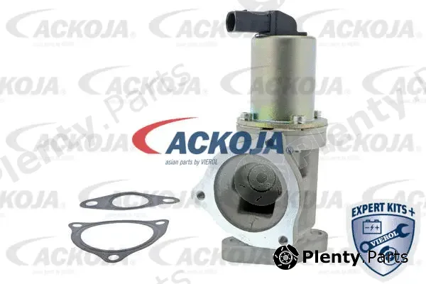 Ackojap A52-63-0004 — EGR Valve EXPERT KITS +