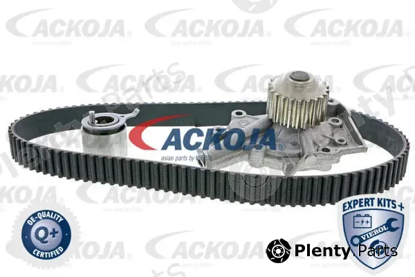Ackojap A51-0201W — Water Pump & Timing Belt Kit EXPERT KITS +