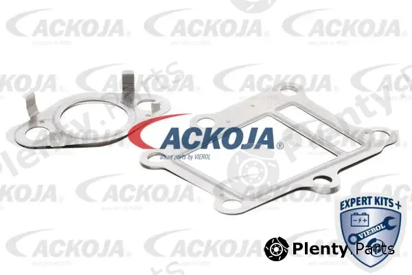 Ackojap A52-63-9013 — Gasket Set, EGR system EXPERT KITS +