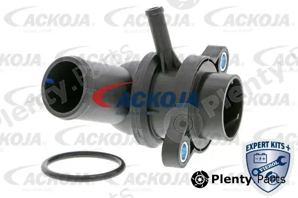 Ackojap A51-99-0004 — Thermostat, coolant EXPERT KITS +