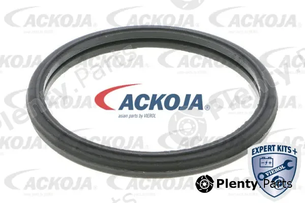 Ackojap A70-99-0012 — Thermostat, coolant EXPERT KITS +