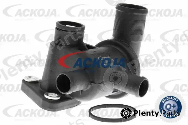 Ackojap A52-99-0013 — Thermostat, coolant Original Ersatzteil