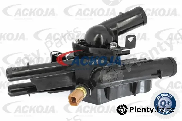 Ackojap A52-0752 — Coolant Flange Original Ersatzteil