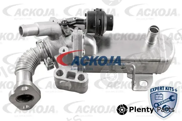 Ackojap A38-63-0004 — EGR Valve EXPERT KITS +