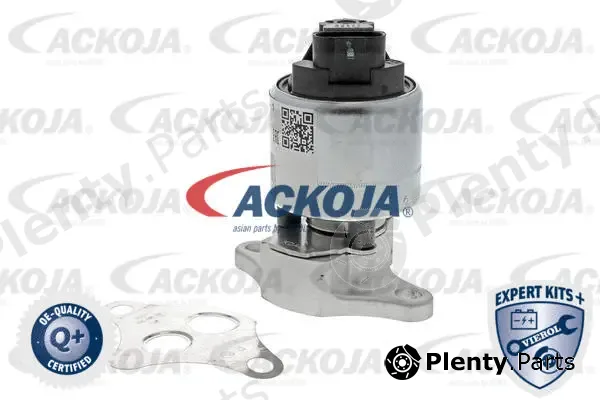 Ackojap A51-63-0005 — EGR Valve EXPERT KITS +