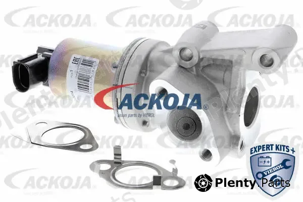 Ackojap A52-63-0014 — EGR Valve EXPERT KITS +