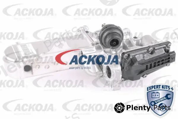 Ackojap A64-63-0001 — EGR Valve EXPERT KITS +