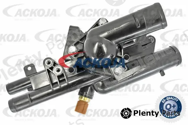 Ackojap A52-0753 — Coolant Flange Original Ersatzteil