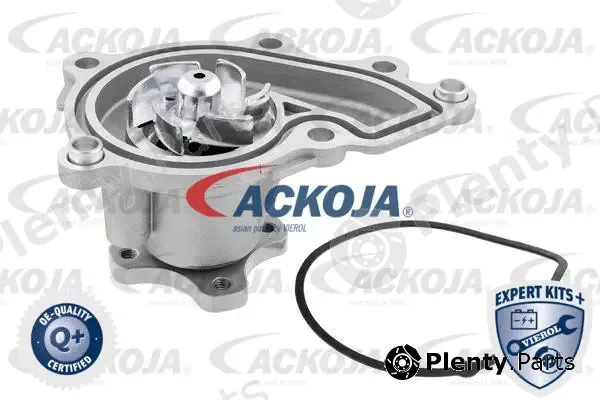 Ackojap A53-0700 — Water Pump, engine cooling EXPERT KITS +