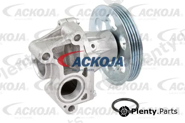Ackojap A70-50013 — Water Pump, engine cooling Original ACKOJA Quality