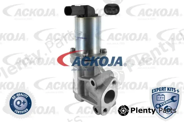 Ackojap A52-63-0006 — EGR Valve EXPERT KITS +
