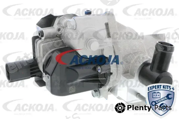 Ackojap A52-63-0016 — EGR Valve EXPERT KITS +
