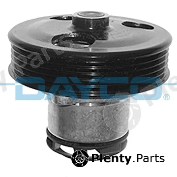 Dayco DP669 — Water Pump, engine cooling