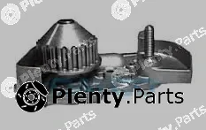 Dayco DP026 — Water Pump, engine cooling