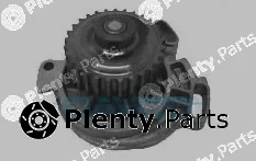 Dayco DP013 — Water Pump, engine cooling