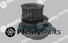 Dayco DP012 — Water Pump, engine cooling