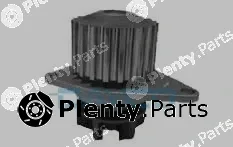 Dayco DP010 — Water Pump, engine cooling