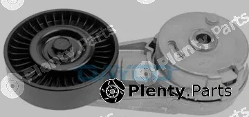 Dayco APV2307 — Belt Tensioner, V-ribbed belt