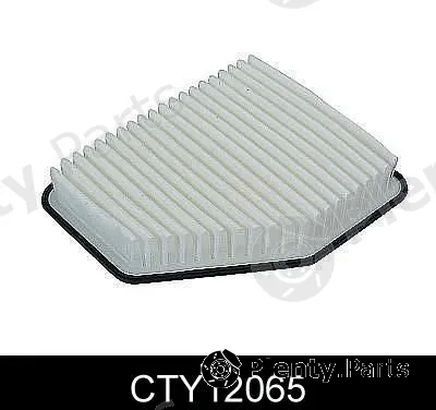 Comline CTY12065 — Air Filter