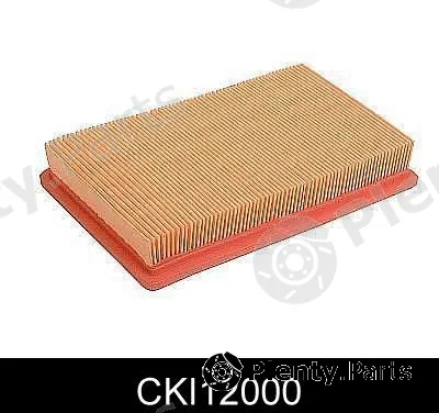 Comline CKI12000 — Air Filter