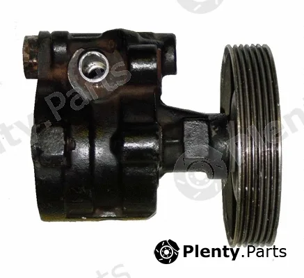 WAT BRN84S — Hydraulic Pump, steering