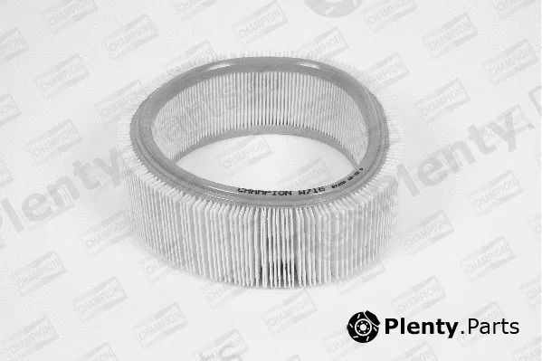 Champion W716/606 — Air Filter