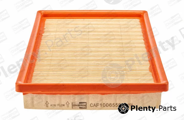 Champion CAF100655P — Air Filter