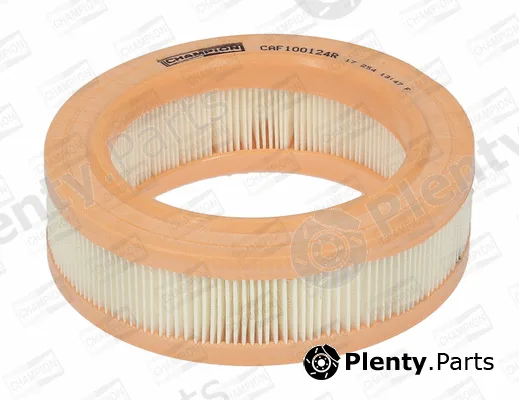 Champion CAF100124R — Air Filter